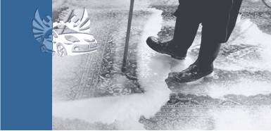 ������ ������