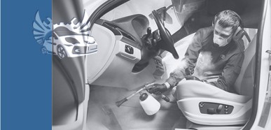 ���������  ������